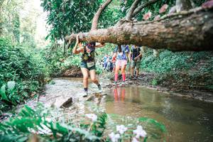 BIB: 
                            <button type="button" onclick="openModal(25514015)" class="btn btn-primary btn-sm float-right btn-popup" data-toggle="modal" data-target=".modal-high-quality">
                        <i class="fas fa-shopping-cart"></i> Add to Cart
                    </button>
                                            <button type="button" onclick="isThisMe(25514015, true)" class="btn btn-success btn-sm float-right btn-popup btn-isme hidden" data-toggle="tooltip" data-placement="bottom" title="นี่คือรูปของคุณใช่ไหม คลิกที่นี่เพื่อเอาเข้าอัลบั้ม">
                        <i class="fas fa-plus"></i> Add to album
                    </button>
                    <button type="button" onclick="isThisMe(25514015, false)" class="btn btn-warning btn-sm float-right btn-popup btn-isnotme hidden">
                        <i class="fas fa-ban"></i> Remove from album
                    </button>